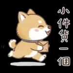 柴犬可愛諧音梗