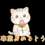 ぽかぽか春ねこライフ