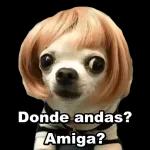 Con cuanto te callas?