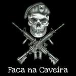 soldado brasileiro sticker