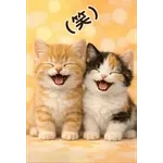 とびだす★ねこちゃんの日常