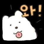 왕털뭉치 사모예드