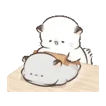 四毛與八毛 軟萌萌的小日常11