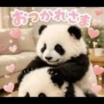 だいすきパンダ