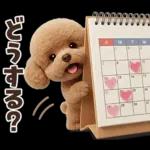 一年中使えることば集☆トイプードル