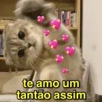 te amo um tantão assim