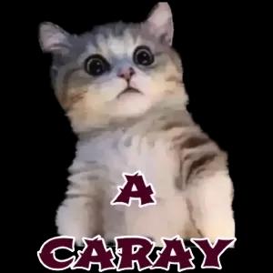 A CARAY - getsticker.com