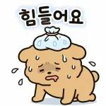 오늘도 행복한 곰이야2