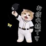 野球をする猫