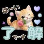 にゃんこ達の❤️気持ちたっぷり長文❤ねこ