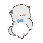 四毛與八毛 軟萌萌的小日常11