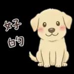 小拉拉 實用日常