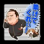 横綱 稀勢の里