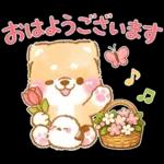 シマエナガといやしばいぬ❤️春/柴犬敬語