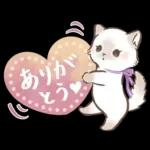 毎日使える♡大人可愛いガーリーキャット2