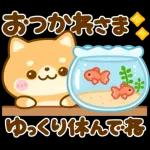飛び出す♡豆柴-夏-日和