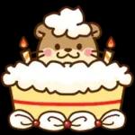 コツメカワウソ♡基本の言葉 日常