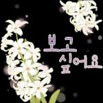 싱그러운 하루 메세지