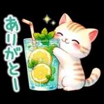 猫のつめあわせ【夏】