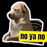 Un habrazo por WhatsApp