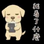 小拉拉 實用日常