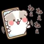 ふわふわシーズー 3歳児