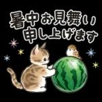 夏の毎日☆猫たちのスタンプ２