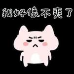 粉貓手機傳心意篇