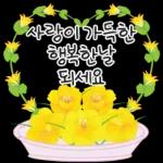 가정의 달 꽃 선물