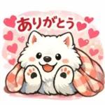 超かわいいサモエド犬の日常 普段使いに！