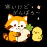 冬限定！たぬきのごあいさつ