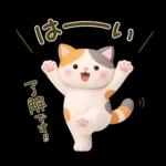 【3D】大人かわいい♪猫にゃんこ♥️敬語
