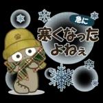 黒ねこの秋・冬便り