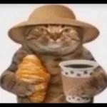 Un habrazo por WhatsApp