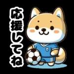 サッカー大好きな柴犬