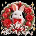 Healing Rabbit Winter