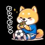 サッカー大好きな柴犬