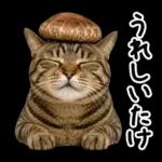 キジトラ猫飼いさんのダジャレ