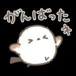 【夏】エナガさんとシマエナガさん12