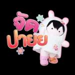 ใช้ได้ทุกแบบ