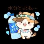 こころ晴れる毎日です
