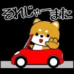 飛び出す！豆柴「野球と日常」