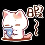 毎日♡猫ちゃんず【連絡・今何してる？】