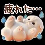 冬の猫のスコティッシュ【よく使う言葉】