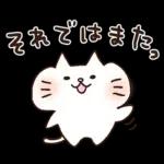 しろねこ♡まるのシンプルな日常挨拶