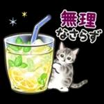 夏の毎日☆猫たちのスタンプ２