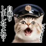 リアル猫警察官