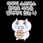 쩝쩝박사 꿀꾸리