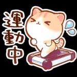 毎日♡猫ちゃんず【連絡・今何してる？】