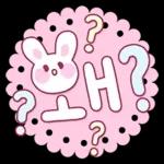 토끼토끼토끼 토끼글씨!!